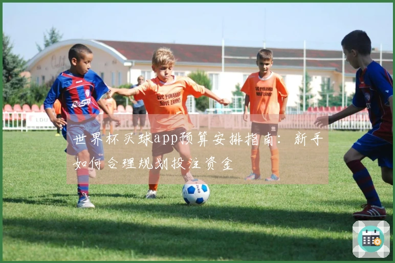 世界杯买球app预算安排指南：新手如何合理规划投注资金