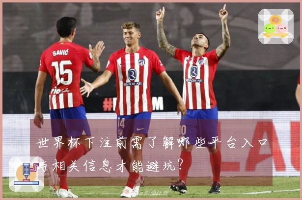 世界杯下注前需了解哪些平台入口与相关信息才能避坑？